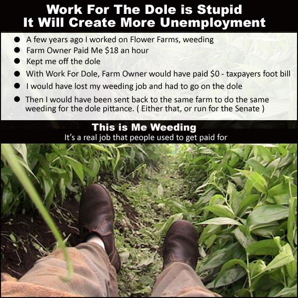 VoteMurdochOut's tweet image. How stupid is Work for the Dole? #workfordole #auspol @SenatorAbetz