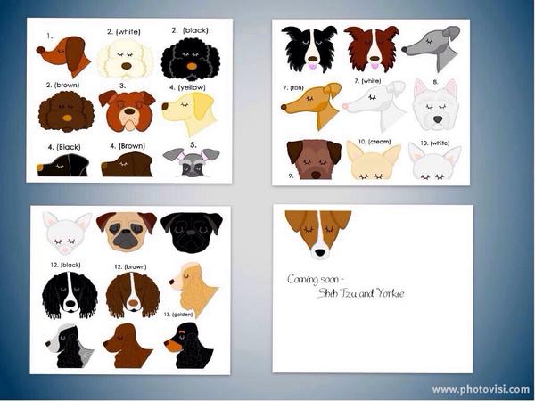 Pet_Shack__'s tweet photo. Check out our lovely pet ID tags, keeping your pet safe! Find them here http://t.co/KwjPMtmJNn also for cats! http://t.co/iaP4dCByp6