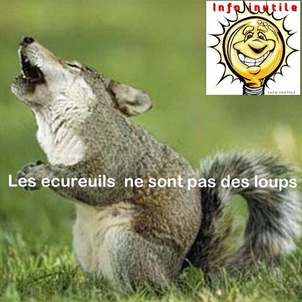 Infutile tweet picture