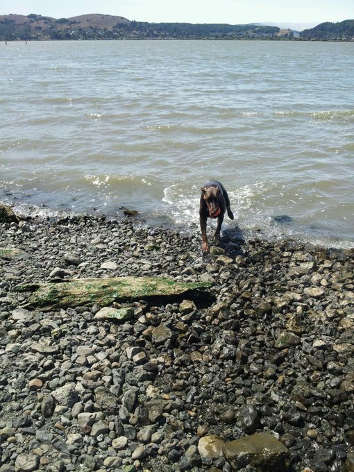 Bond likes it though http://t.co/jTLQSzvVlg<a href="/tag/camgirl"class="tags"><span>#camgirl</span></a><a href="/tag/manyvids"class="tags"><span>#manyvids</span></a>