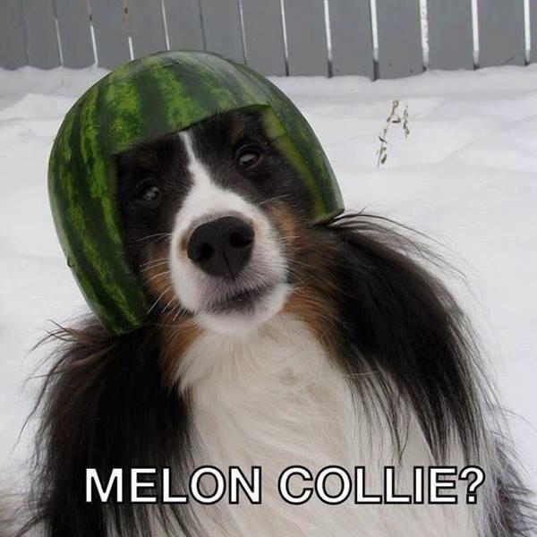 wynens's tweet photo. Just one of those days.  #wearethepeople http://t.co/ObdPxDVYRY