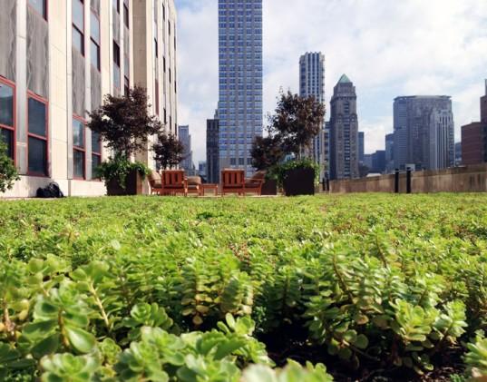 inhabitat's tweet photo. Most people don't know about this famous building's 9,100 sq ft green roof: http://t.co/JLO92fsRkV http://t.co/qmBRdL3OCl