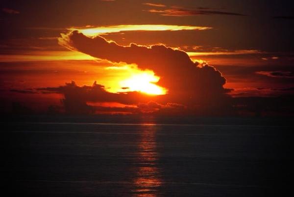 Year of the Gator🐊🌊☀️