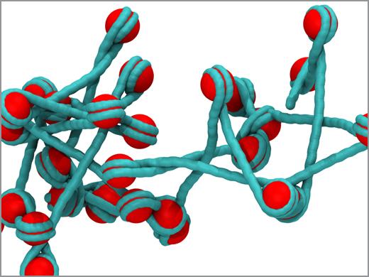 science360's tweet photo. Picture of the Day: Model of extended chromatin http://t.co/BgBDuJqM8p #science http://t.co/7PbMNBdSsM