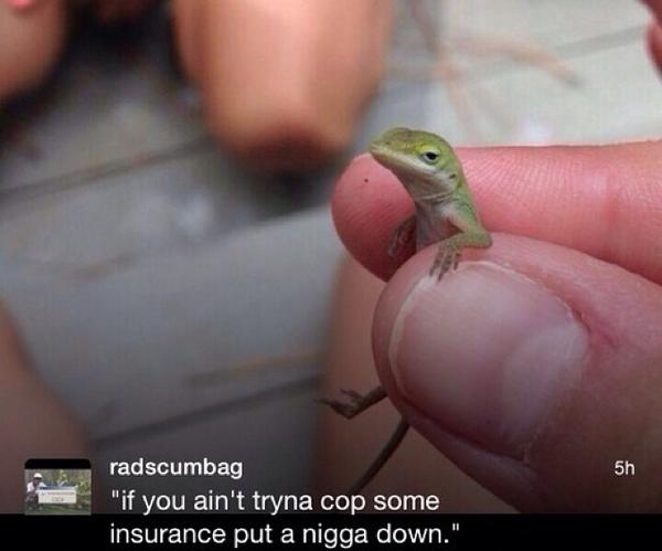 FLOSSTRADAMUS's tweet photo. 😂😂😂 http://t.co/RaD5q2Rikm