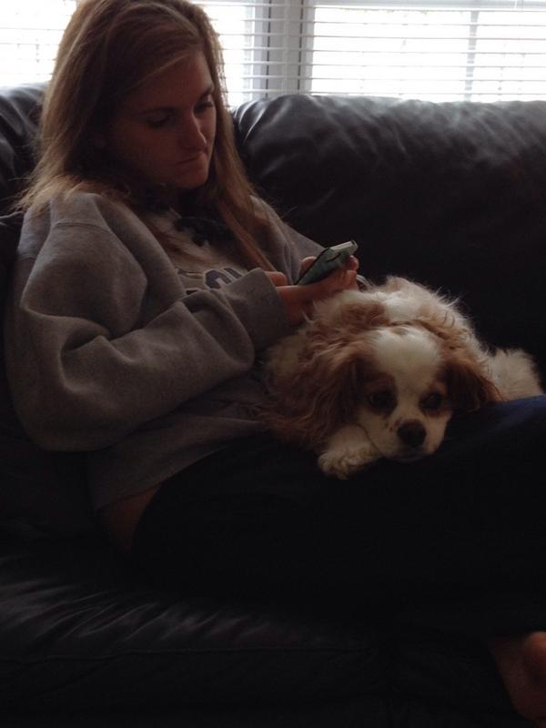 princessfionaT's tweet photo. I know my Mom @andrea_rudley has to leave soon...which sucks because I'm just so comfy. #lapdogproblems http://t.co/fXFJvcZHpQ