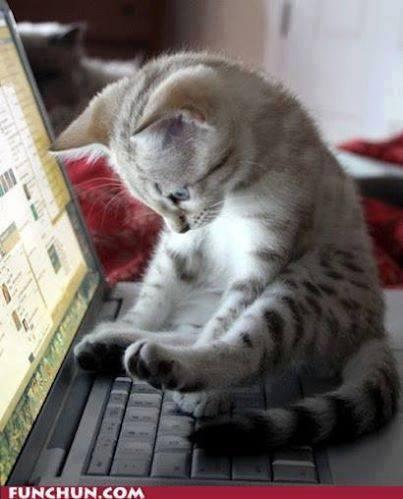 CSIcrimecity's tweet photo. CSI kitty is searching for evidence! You can too!

Play CSI: Crime city > > http://t.co/ZiDIVpldiD http://t.co/0m0ERzldIt