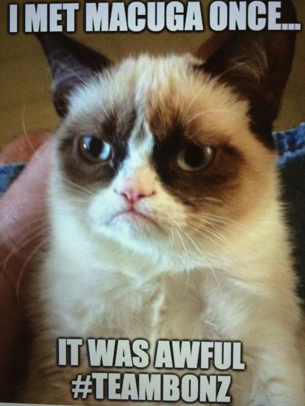 stacyohoward's tweet photo. #GrumpyCat is all for #TeamBonz @SchmoesKnow #UltimateSchmoedown #SchmoesKnow http://t.co/sU8T6YyISm