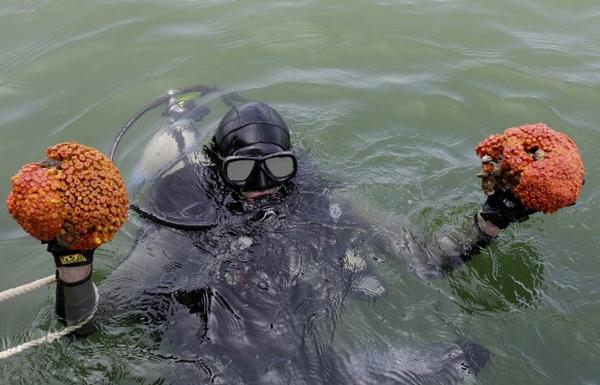 ClimatePower's tweet photo. Scientists: The BP oil spill is much worse than people think http://t.co/Cq8djdvaMX http://t.co/UHDETT1Ign