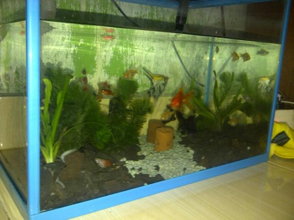 Hendy rama (@hendy_rama) on Twitter photo 