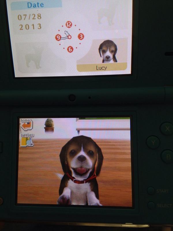 sarakathleen__'s tweet image. At least my neighbors can&apos;t take this dog from me! #FightingTheSystem