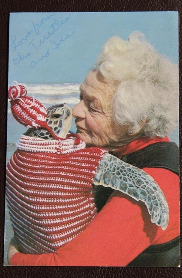 dovesfall's tweet photo. “@OGClassicGirl: All you need is turtle love. #love http://t.co/tesgo6lNSt” super duper cute!