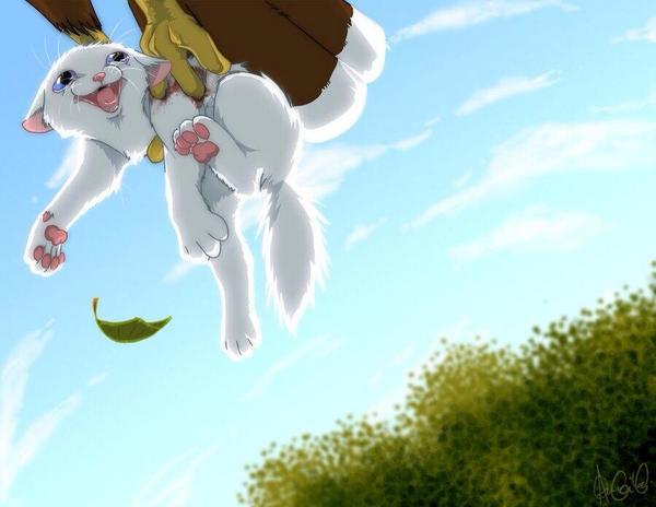 What my cats like when I pick her up. She be like. "Never!! D:<"