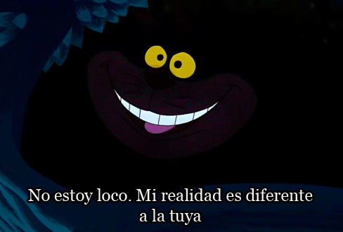 Carolina Contreras tweet media