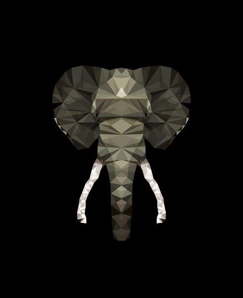 AgenciaIvarika's tweet image. Ejemplo 2 de #polygonaldesign