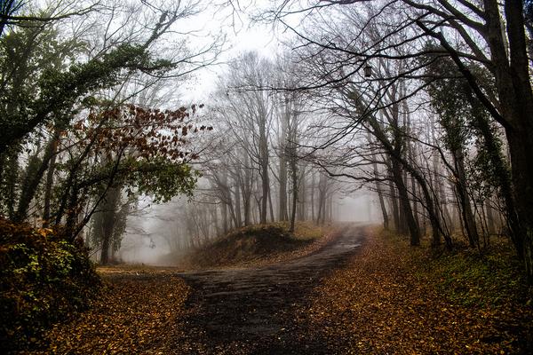 HolleErnie's tweet photo. Nature's Silence by Kutergraphy http://t.co/TQ5aLbi6tH