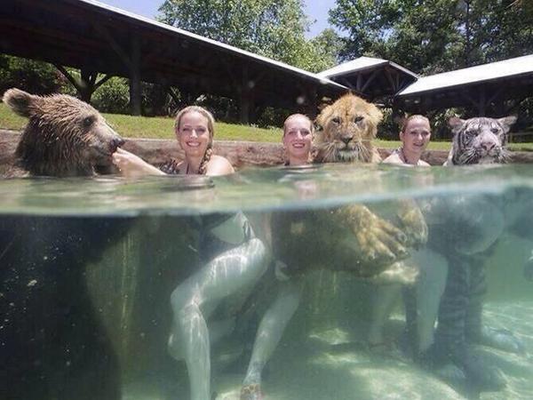 Ben Robinson On Twitter Rtakkilledit White People Will Do Crazy Shit Like This But Lock Their Car Door When They See Some Niggas Ben Robinson On Twitter Rtakkilledit White People Will Do Crazy Shit Like This But Lock Their Car Door When They See Some Niggas