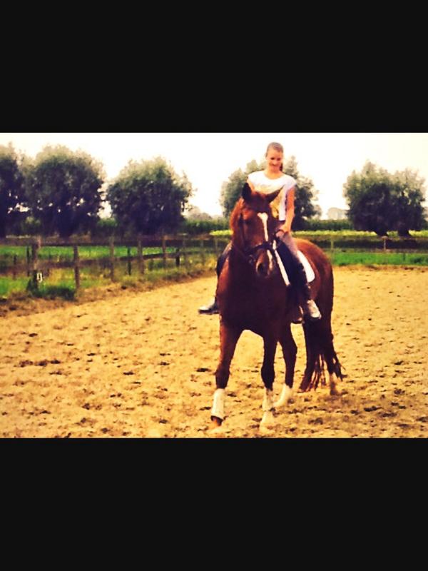 Hou van dit paardje💕