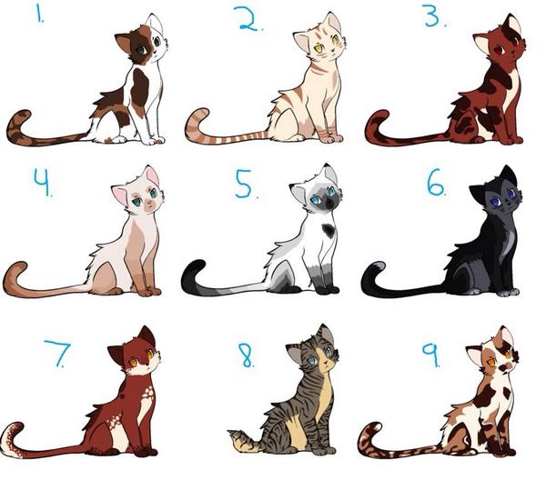 Dis is how de Profile Pic looks without anyone's tail or part of their head cut off. X3