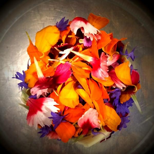 ChefBrianMassie's tweet photo. Summer Flowers - Natural, Beautiful, &amp; Edible! 
@HearthstoneLV #WineYourHearthOut http://t.co/mxp9D07J4W