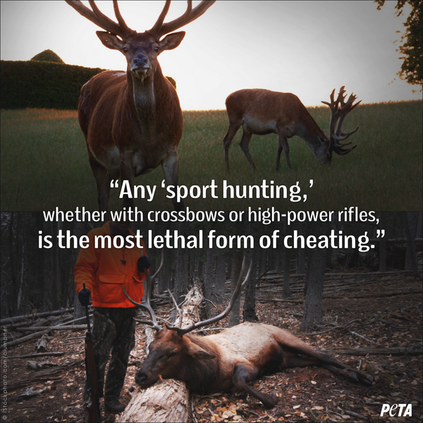 peta's tweet photo. SERIOUSLY. RT if you do NOT support hunting! http://t.co/yIBalsgYfm