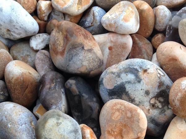 Liz Freeman tweet media