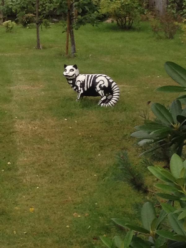 MaisieCockapoo's tweet image. I tried to scare this cat away but it just ignored me.