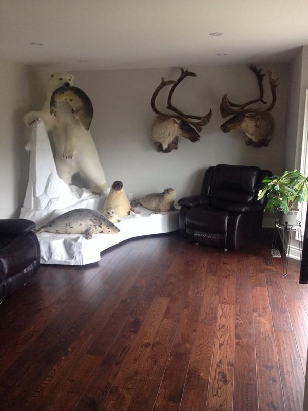 KrolCalvin tweet picture