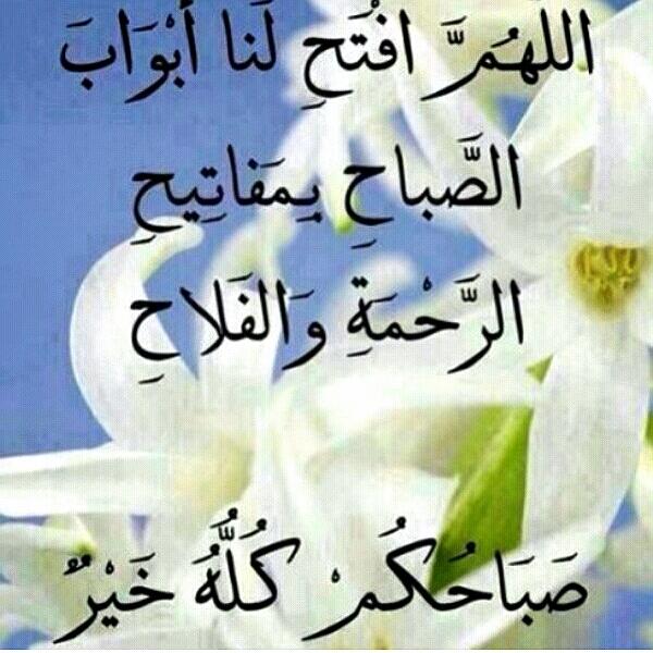 soriz2013's tweet photo. صباح الخير http://t.co/U65IPR7P5e