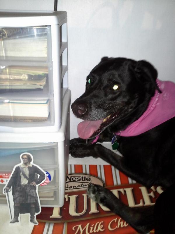amysweet's tweet photo. Dinna fash, Gina. #PocketJamie is here to protect you from the thunder. http://t.co/rEvqRBEwfJ