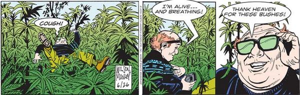 thedealszone's tweet photo. Thanks Heaven for these Bushes
#thankyou #heaven #weedliketotalk http://t.co/hA4xmHC4mt