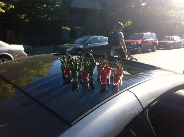 nic_on_the_go37's tweet image. Feeling the burn with the @BoardofTrade #cypprogram #AmazingPace