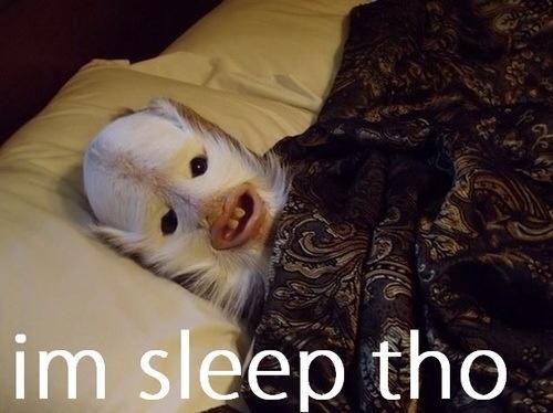 Chodehub's tweet image. 😂😂😂