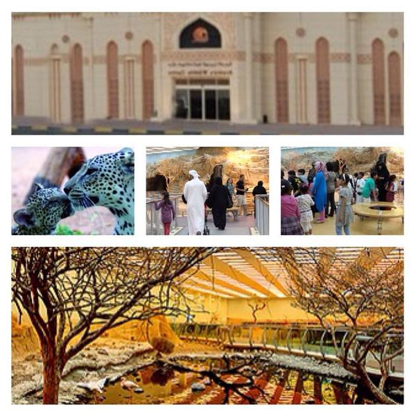 NCTAUAE's tweet photo. منتزه الحياة الفطرية بالشارقة به العديد من الحيوانات النادرة .

#اجازة_العيد_في_الامارات http://t.co/qt0rIsjRNK