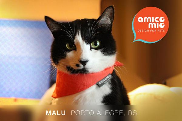 amicomiodesign's tweet image. Malu sempre gata! #modernpets #petproduct #petdesign #pettoys #cool #design #lovecats #amicomio #pets #estilo
