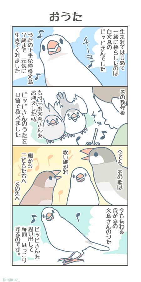 文 新木南生 A Twitter Limity Plus ヒナパッキン すごくかわいいですよね でもすぐになくなっちゃうのがちょっと残念で 笑 文鳥さんのうた それぞれのおうちに伝わる伝統のうた ってかんじで いいですよね
