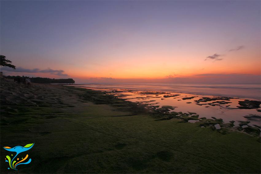 Permalink gambar yang terpasang