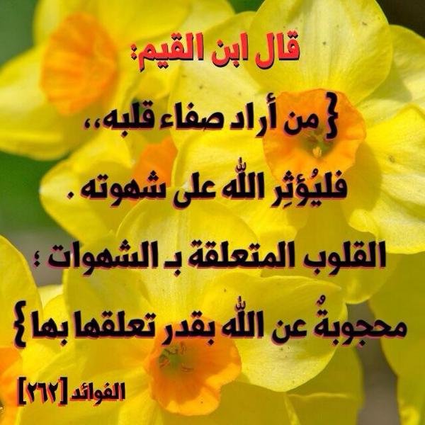 ibn_alqaim's tweet photo. #غرد_بصورة
#ابن_القيم http://t.co/8VSZCIZNJ3