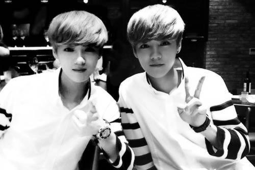 exoverflow's tweet photo. Lulu and Hanhan 😉

cr.nobodysworld http://t.co/hBCVa4HY8z