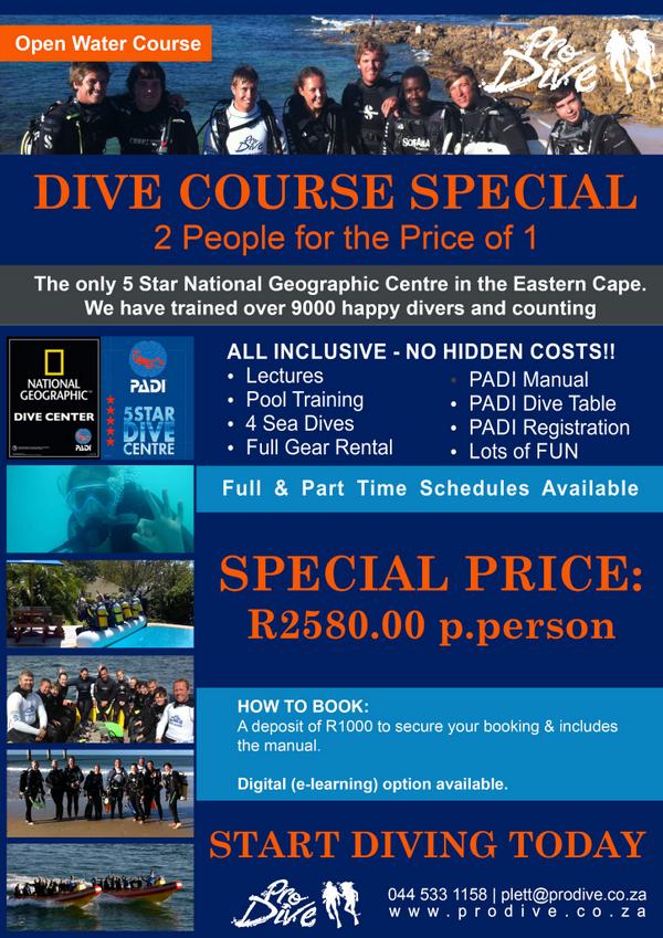 Prodive Plett tweet media