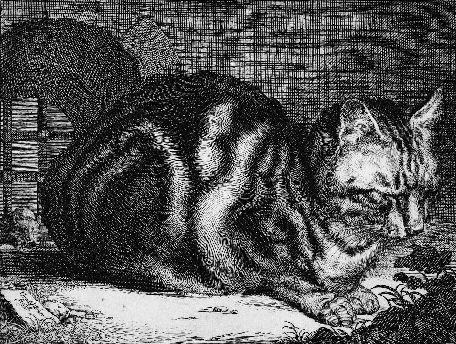 British Museum On Twitter Today We Are Celebrating MuseumCats So To british-museum-on-twitter-today-we-are-celebrating-museumcats-so-to