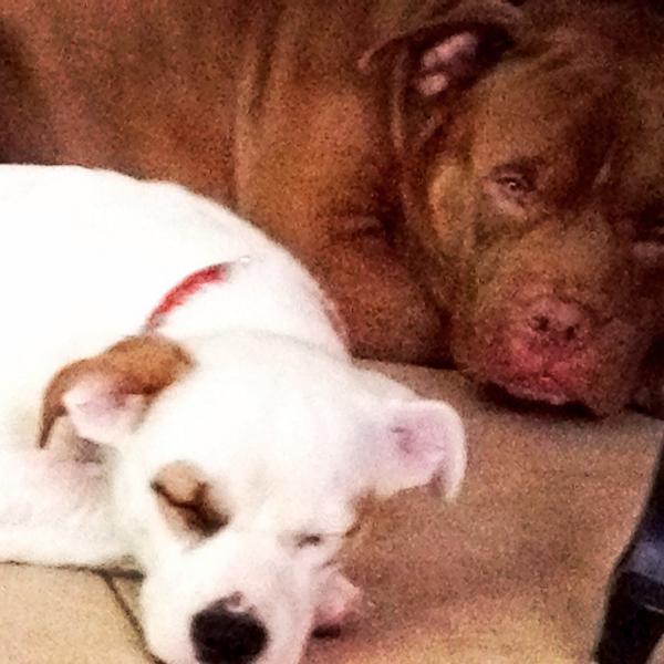 RicMyza's tweet image. Father and daughter taking a nap. He&apos;s looking like, you better not wake my baby up. LOL. #guardproblems