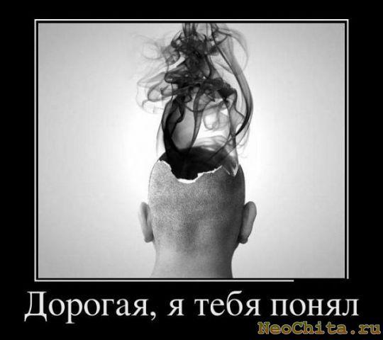 AlexNutTree's tweet photo. http://t.co/rzkrREjhcW