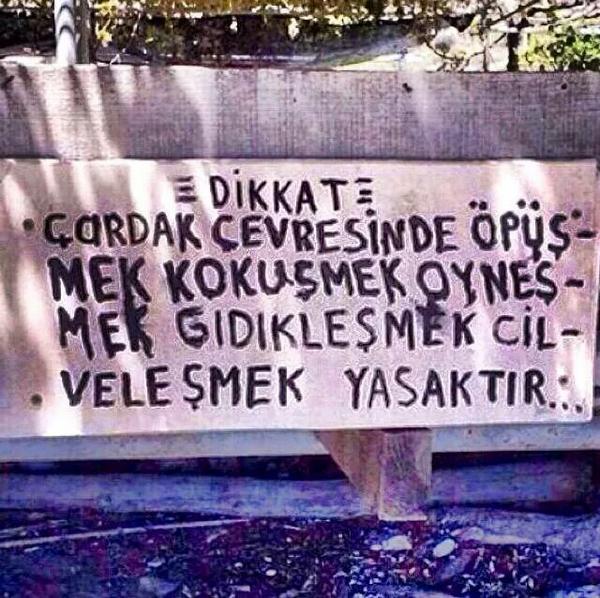 sumerezgu's tweet photo. http://t.co/gr29GBrogP
