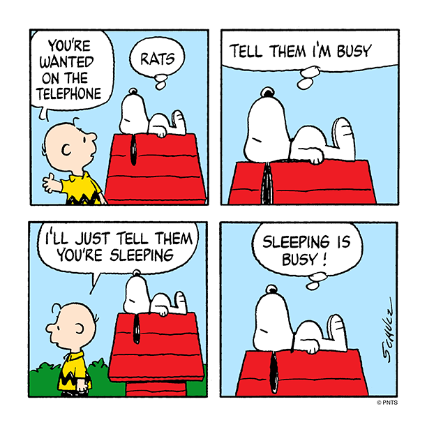 https://www.google.com.au/search?dcr=0&biw=1280&bih=601&tbm=isch&sa=1&ei=TBsaWt2eGcKp0gSDyKy4Ag&q=charlie+brown+and+snoopy+cartoons+grammar&oq=charlie+brown+and+snoopy+cartoons+grammar&gs_l=psy-ab.3...46943.53465.0.55552.24.24.0.0.0.0.236.3949.0j19j2.21.0....0...1c.1.64.psy-ab..4.0.0....0.ml4cogNrgD4#imgdii=J85ZLK84yKMYeM:&imgrc=7kt1CttPmcjYxM: