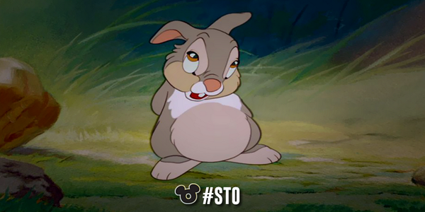 SoyTodoOrejas1's tweet photo. Buen día, Orejas

"Si no puedes decir algo bueno de alguien, no digas nada en absoluto"
-Tambor

#Disney #STO #Frases http://t.co/2J2qhRaIOQ