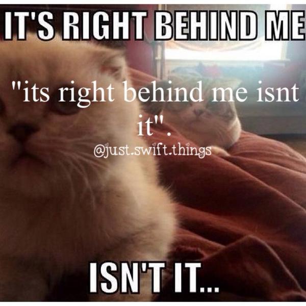 swift_things's tweet image. Its right behind me isnt it.