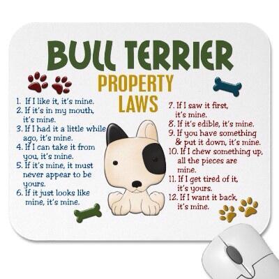 SkyeWebkinz1999's tweet photo. ♥lolz♥

★BULL TERRIERS RULE AND ROCK!★ http://t.co/yWibMCUsYv