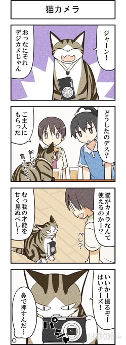 猫の写真家 週アスCOMIC「我々は猫である」第32回 - 週アスPLUS http://t.co/tUUsv3bAhy 