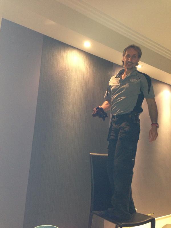 GfjohnsL's tweet photo. Love that wallpaper is back in style.  Goodbye purple feature wall. http://t.co/PKFIX6FKG2